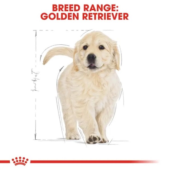 Royal Canin Golden Retriever Puppy - Суха храна за малки кученца от порода Голдън ретривър